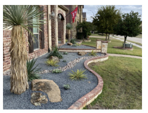 Texas Xeriscape Bed